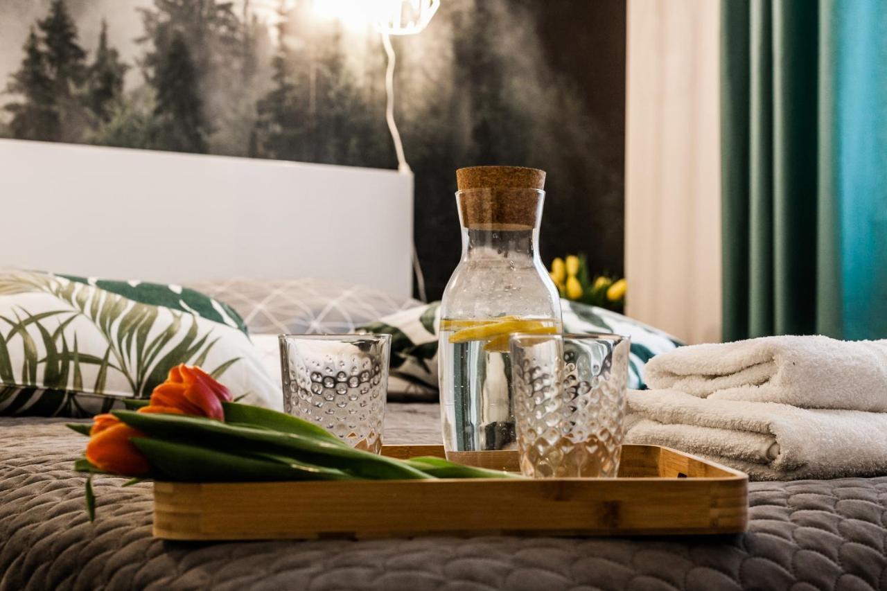 Apartment Vintage No1 Olsztyn (Warmian-Masurian)